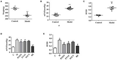 Novel Targets in a High-Altitude Pulmonary Hypertension Rat Model Based on RNA-seq and Proteomics